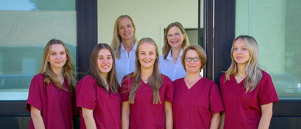 team frauenarzt wangen